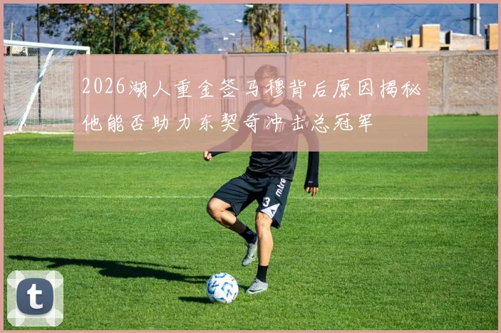 2026湖人重金签马穆背后原因揭秘他能否助力东契奇冲击总冠军